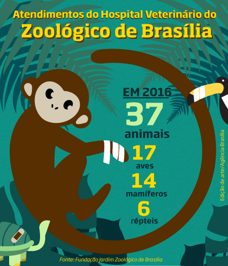 Atendimentos do Hospital Veterinário do Zoológico de Brasília