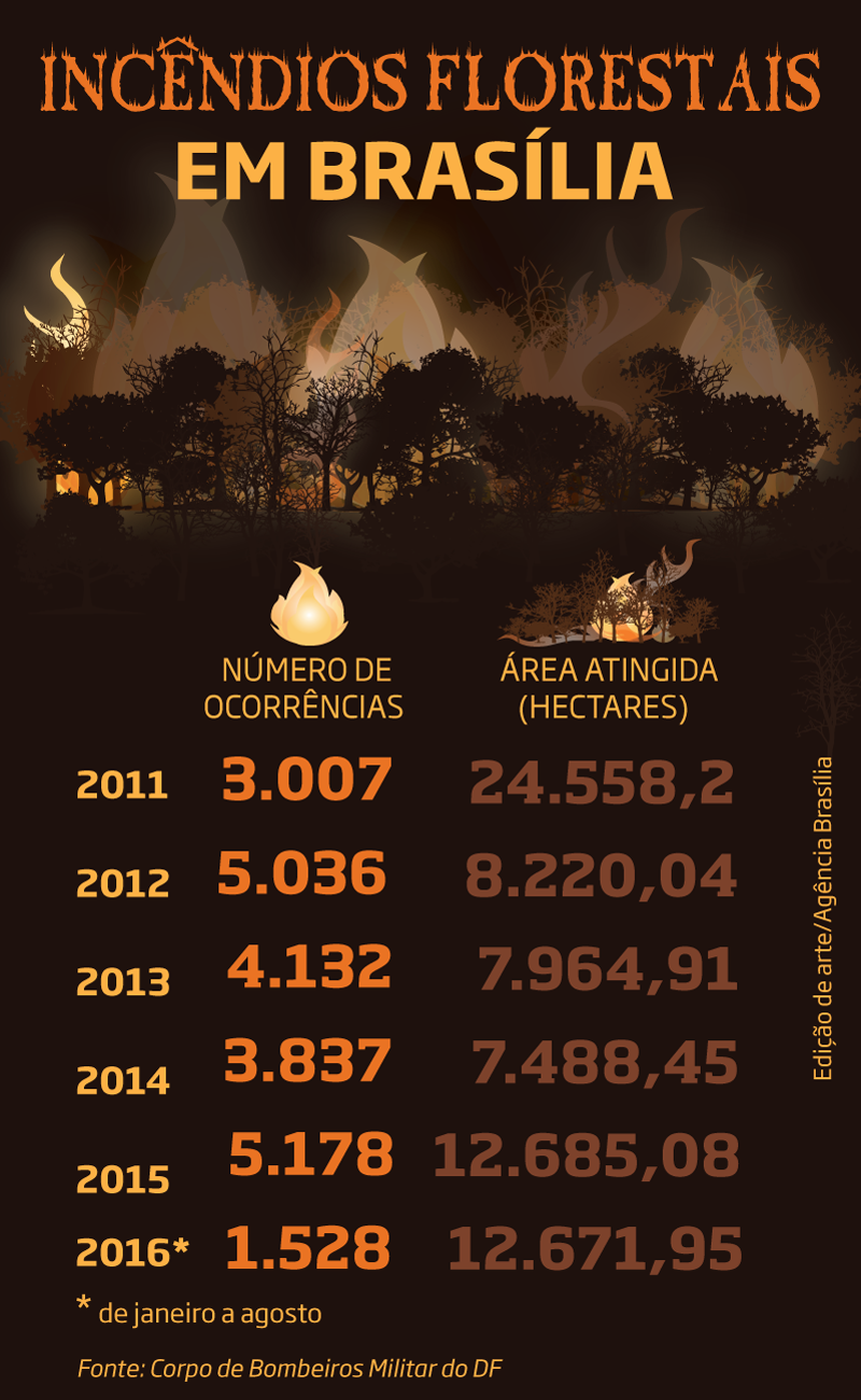 incendios-florestais-em-brasilia-agenciabrasilia