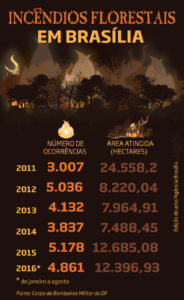 Incêndios florestais em Brasília