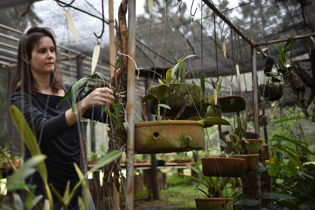 A diretora de Manejo de Recursos Naturais do Jardim Botânico, a engenheira florestal Lilian Breda.