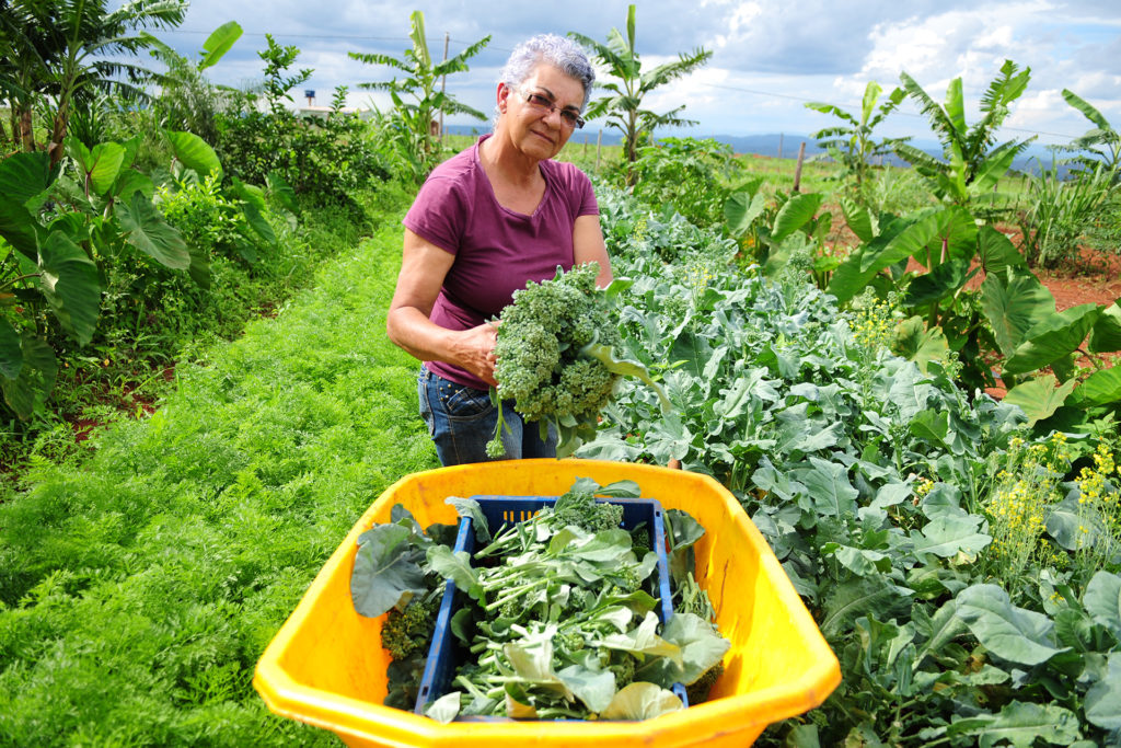 A produtora rural Ivone Ribeiro, de 56 anos, beneficiária dos programas de aquisição de alimentos do governo de Brasília.