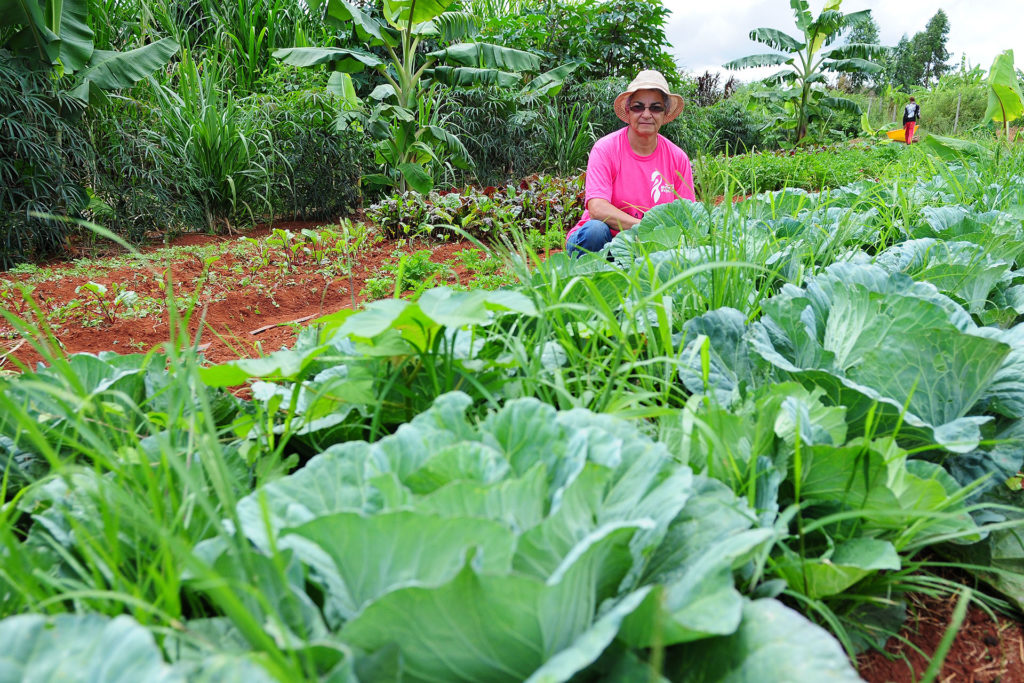 Ivone Ribeiro Machado, de 58 anos, é produtora na Zona de Produção do Parque Nacional de Brasília e da Reserva Biológica da Contagem e utiliza princípios da agroecologia na produção.