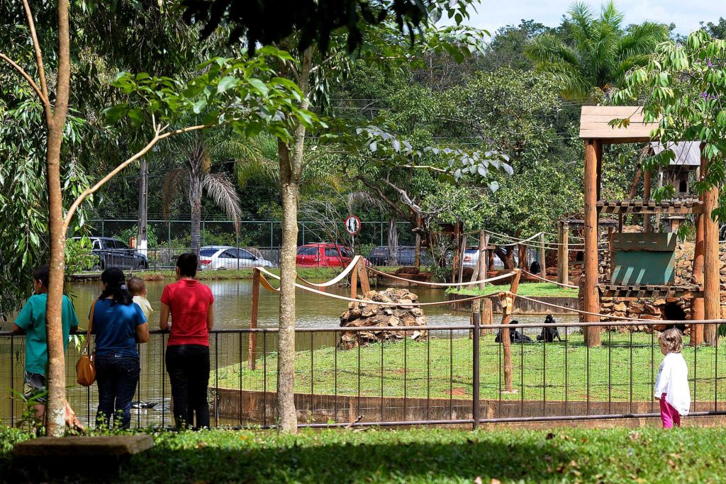Cidadãos podem opinar sobre melhorias no Zoológico de Brasília. 