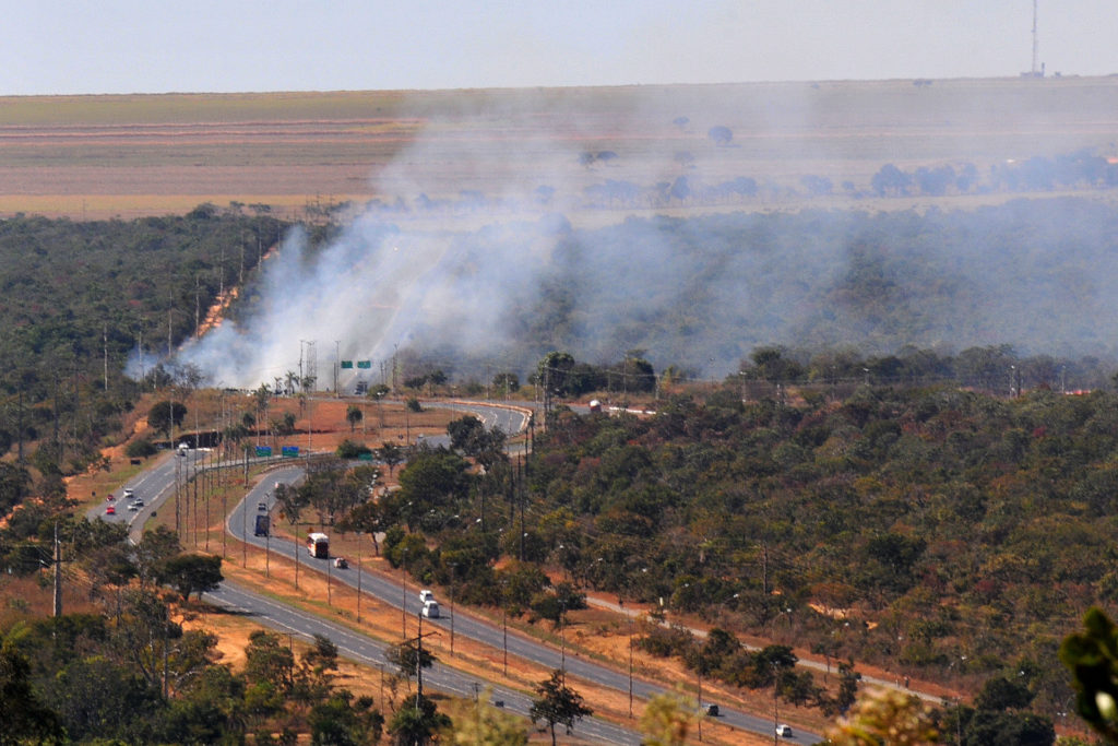 Incêndio na área da Estação Ecológica de Águas Emendadas em 2016. 