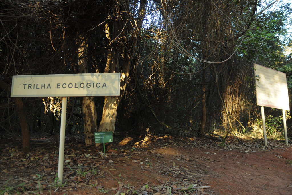 Segunda trilha principal do Jardim Botânico, a Trilha Ecológica é ainda maior, com 4,565 quilômetros e estrada de terra.