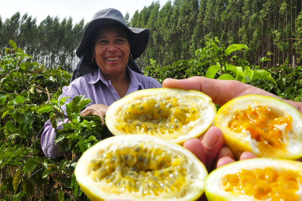 Maria do Anjos Silva, produtora de maracujá no Núcleo Rural Pipiripau, recebeu visita da Expedição Safra-Brasília.