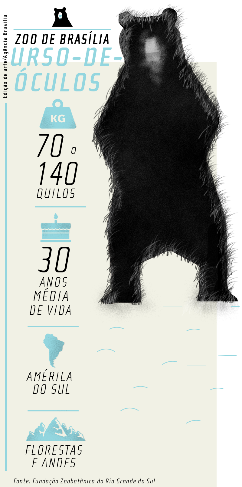 Urso de Óculos no zoo de Brasília