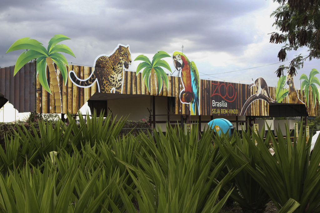 As duas lanchonetes do Zoológico de Brasília estão disponíveis para serem exploradas comercialmente. O edital de licitação prevê a assinatura de contratos de permissão de uso.