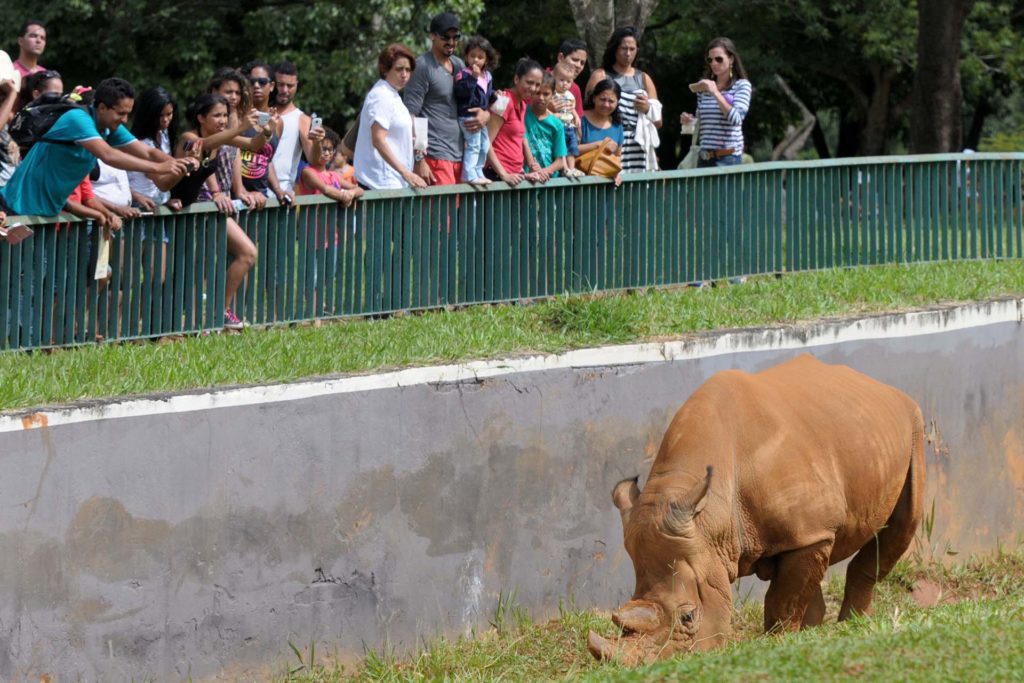 Zoo completa 60 anos com programação especial de aniversário. 