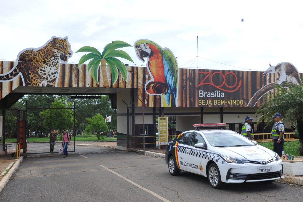 Com a Polícia Militar do Distrito Federal (PMDF) e o Corpo de Bombeiros Militar do Distrito Federal (CBMDF) garantindo a segurança, a Fundação Jardim Zoológico de Brasília abriu as portas neste domingo (11).