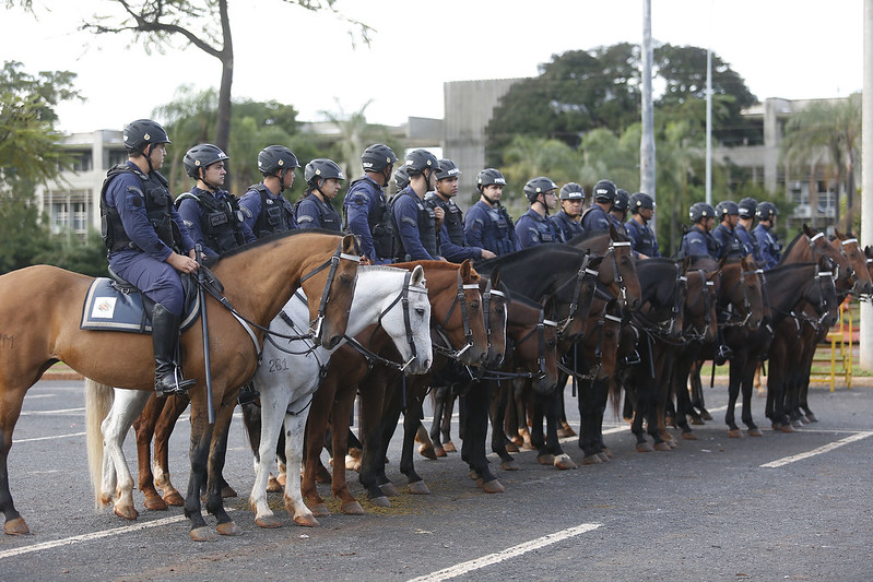 Polícia Militar do Distrito Federal - Sempre haverá uma Cavalaria:  Regimento de Polícia Montada completa 38 anos