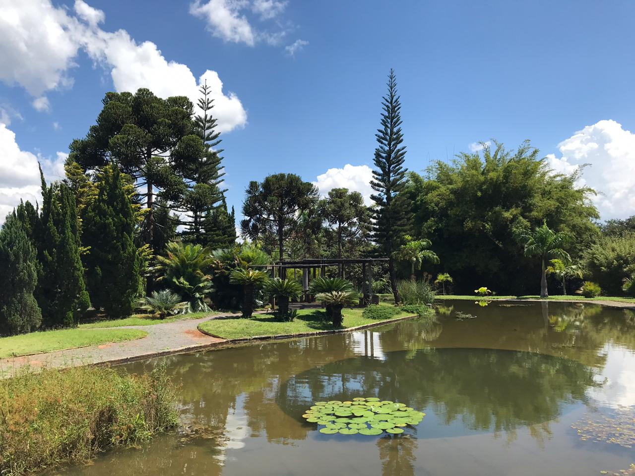 Jardim Botânico de Brasília se organiza para reabertura – Agência Brasília