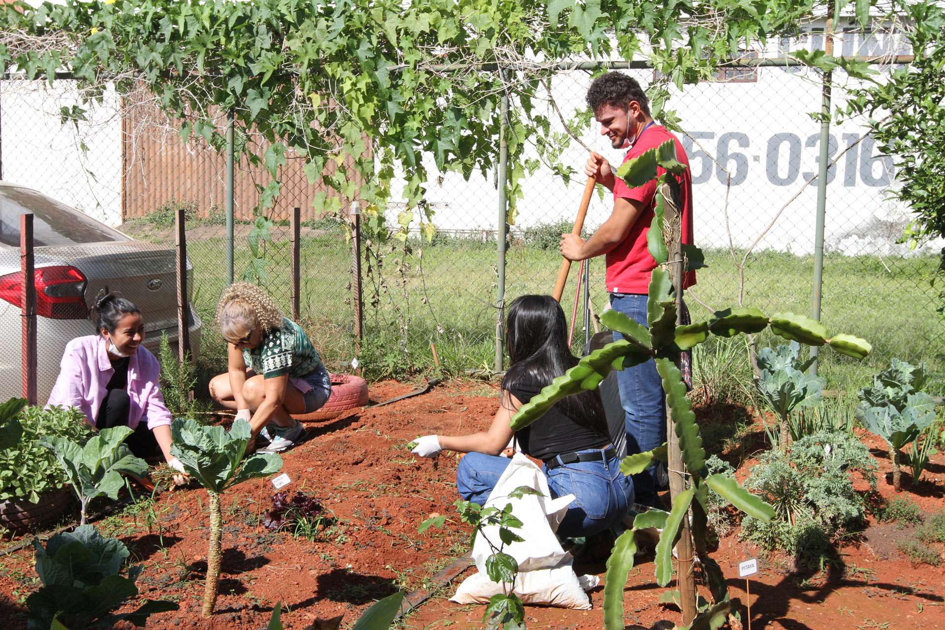 Atividades oferecidas nas UBSs aumentam bem-estar da população