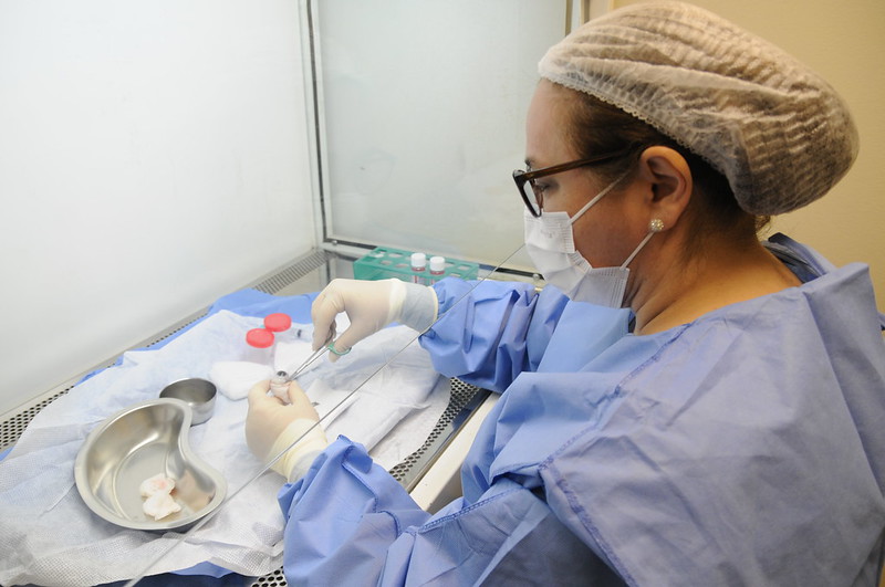 GDF dará curso gratuito sobre doação e captação de córneas para transplante