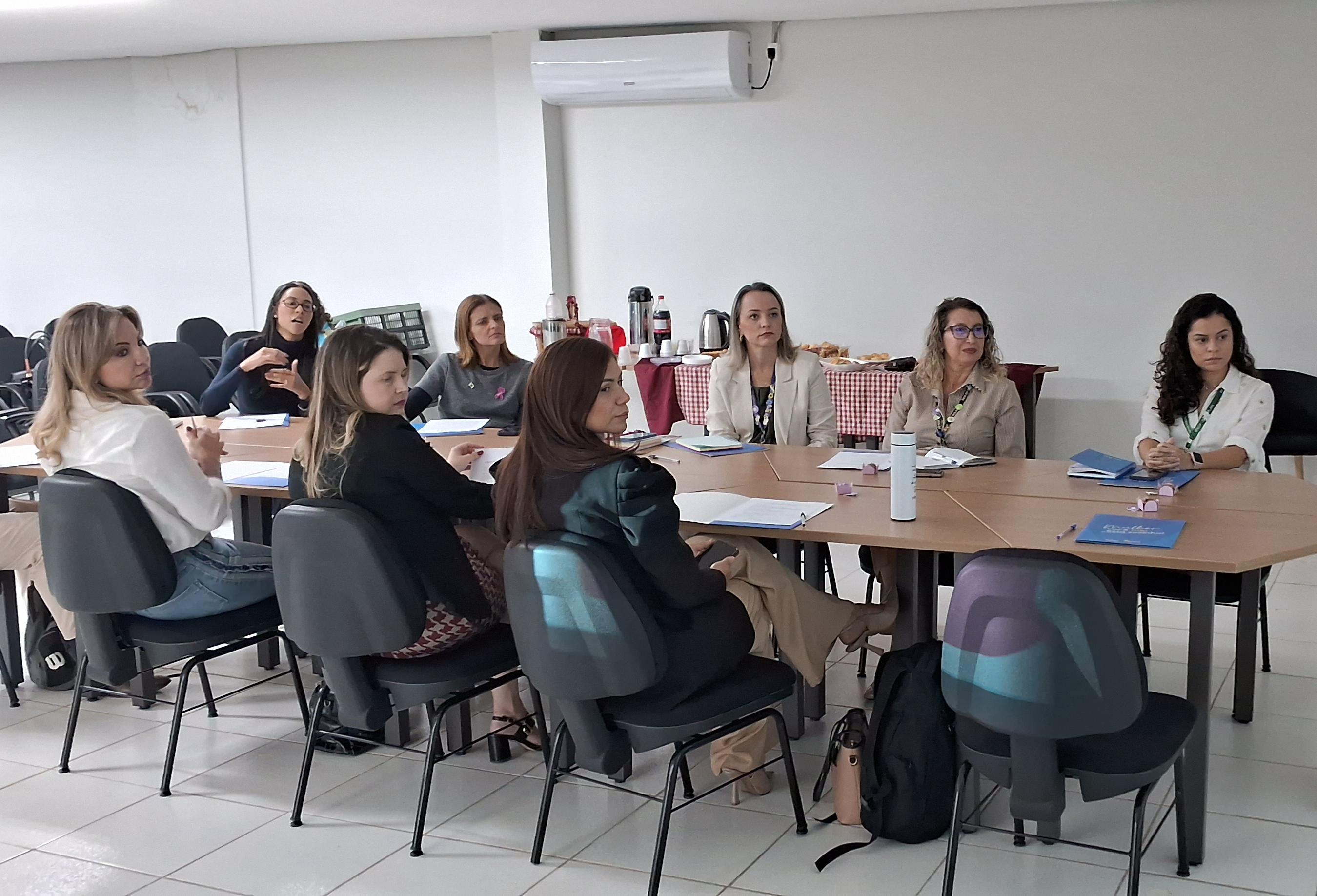 Comitê gestor do Observatório de Violência contra a Mulher e Feminicídio debate planejamento para 2026