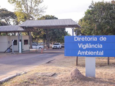 No DF, Zoonoses é referência para receber animais com doenças transmissíveis aos humanos