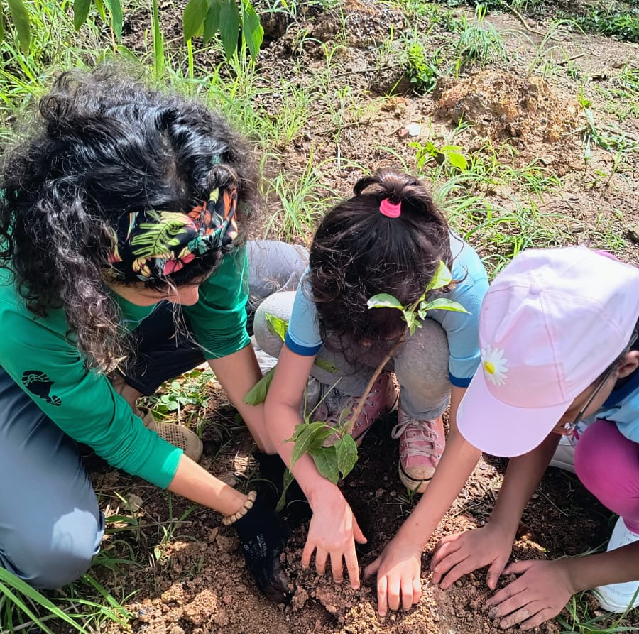 APA do Lago Paranoá é beneficiada com plantio de mudas