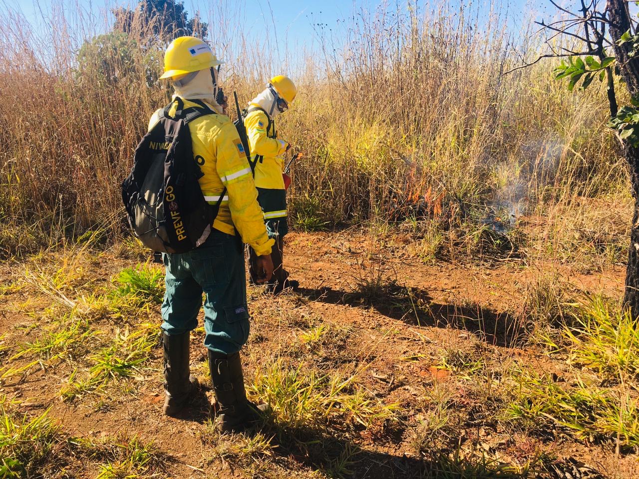 DF ganha lei que amplia ações de prevenção e combate aos incêndios florestais
