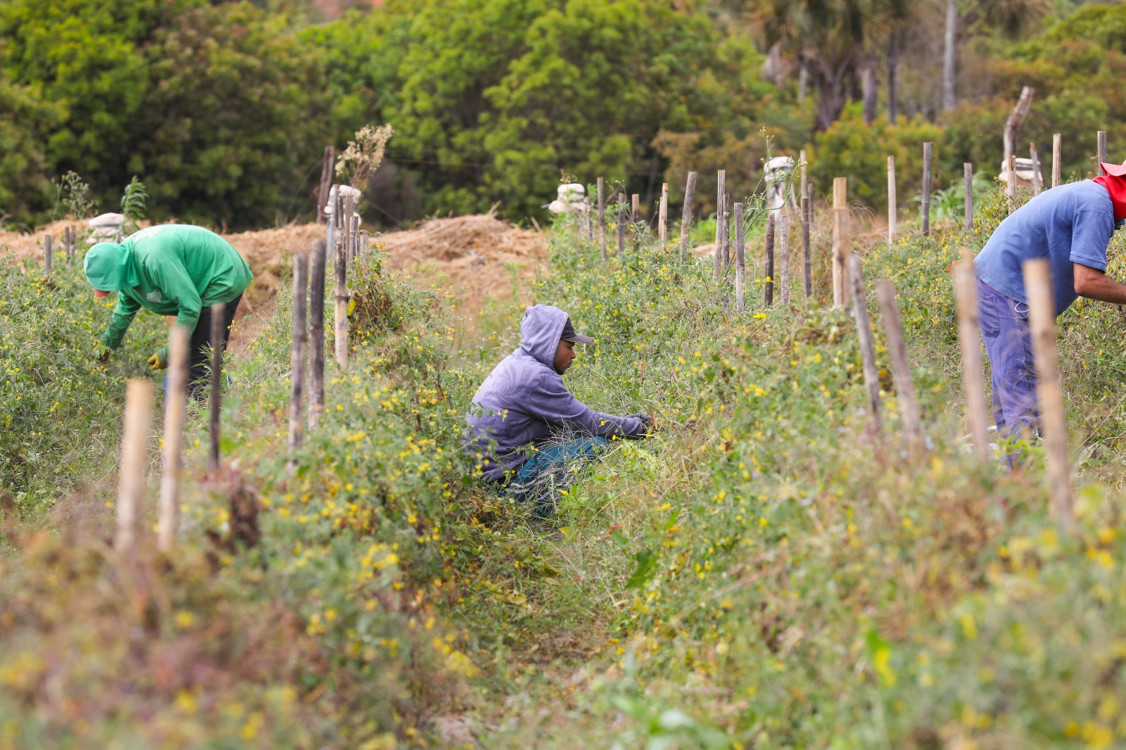 ETR: processos de regularização ganharam reforço em 2023