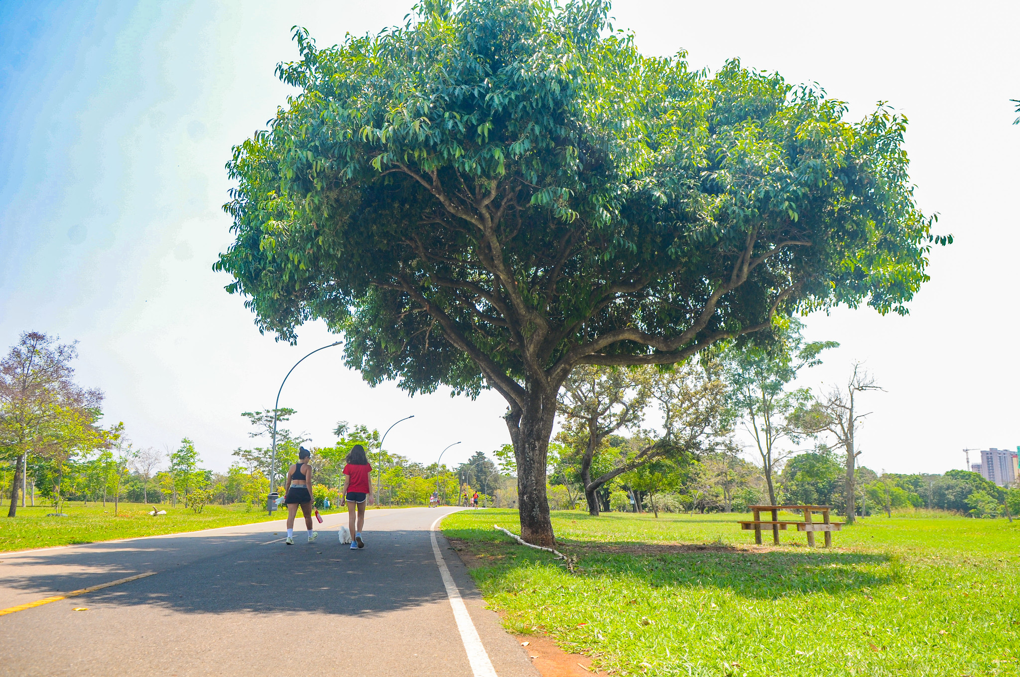 Unidades de conservação receberam R$ 9,5 milhões de compensação ambiental