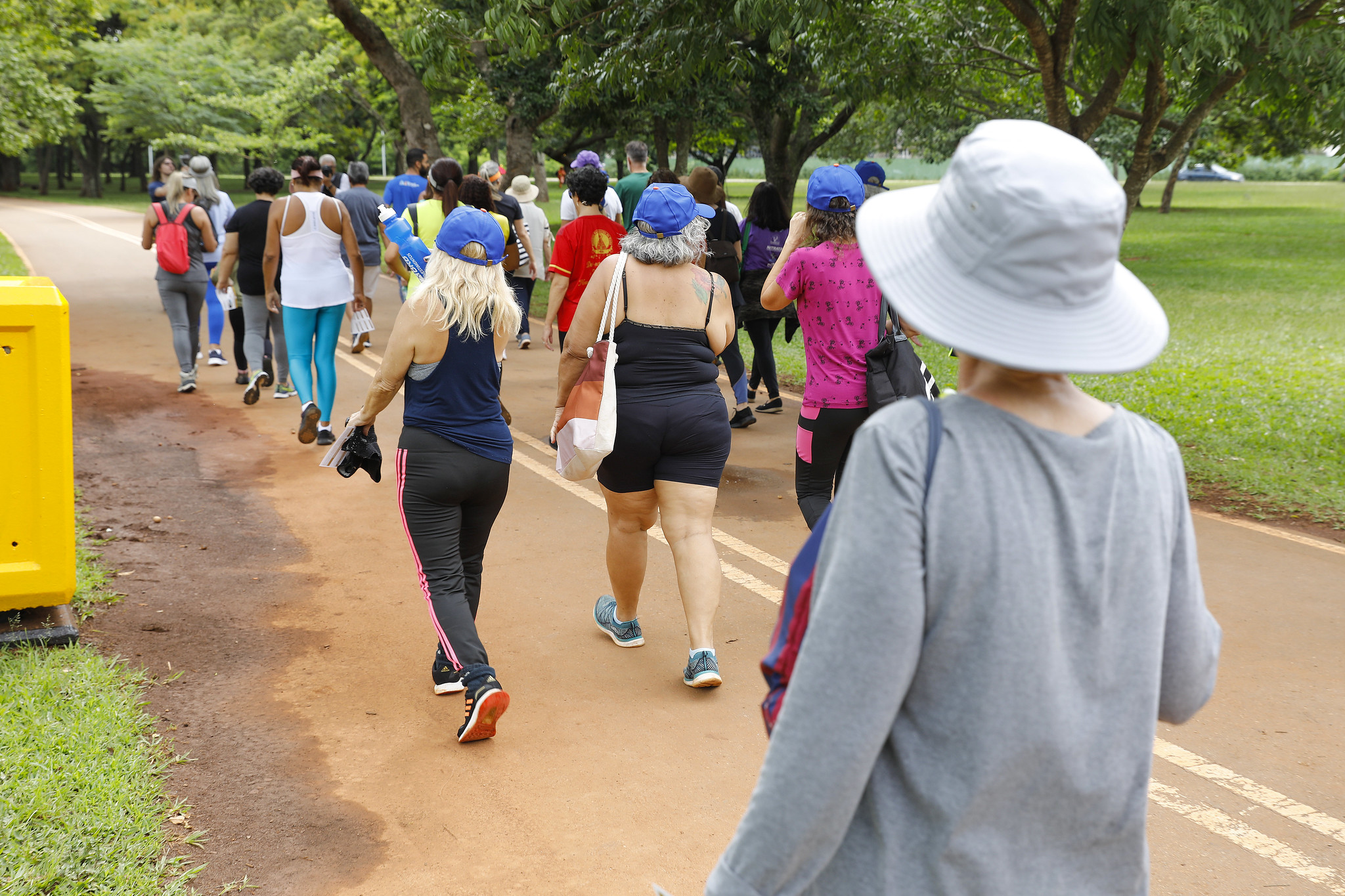 Ação no Parque da Cidade terá foco na proteção à pessoa idosa