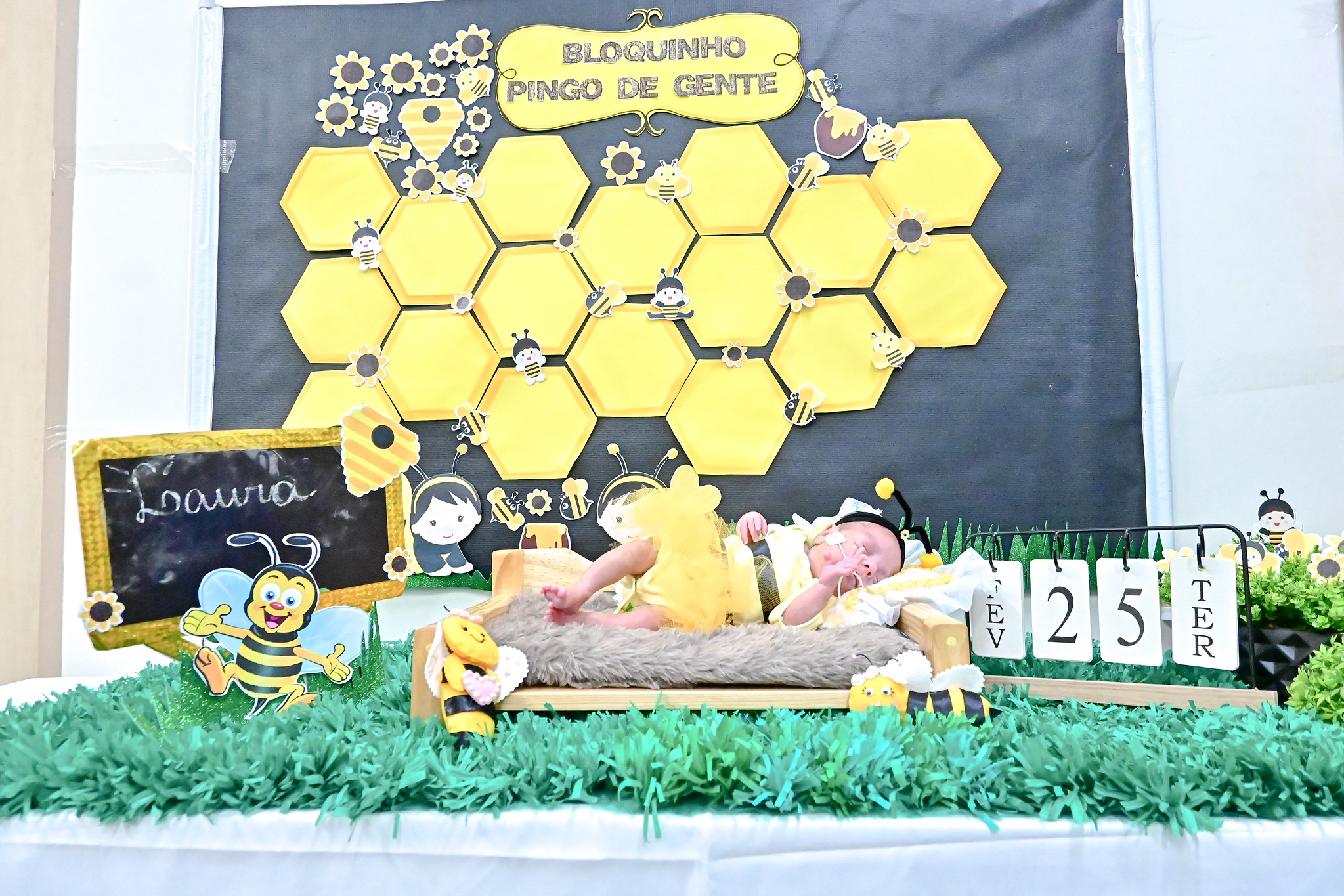 Bebês internados no Hospital Regional de Santa Maria encantam em ensaio fotográfico de Carnaval