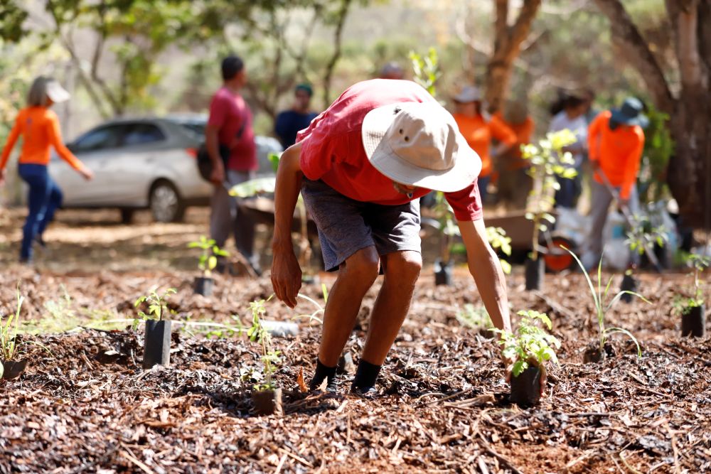 Horto agroflorestal do Caps II do Riacho Fundo é inaugurado