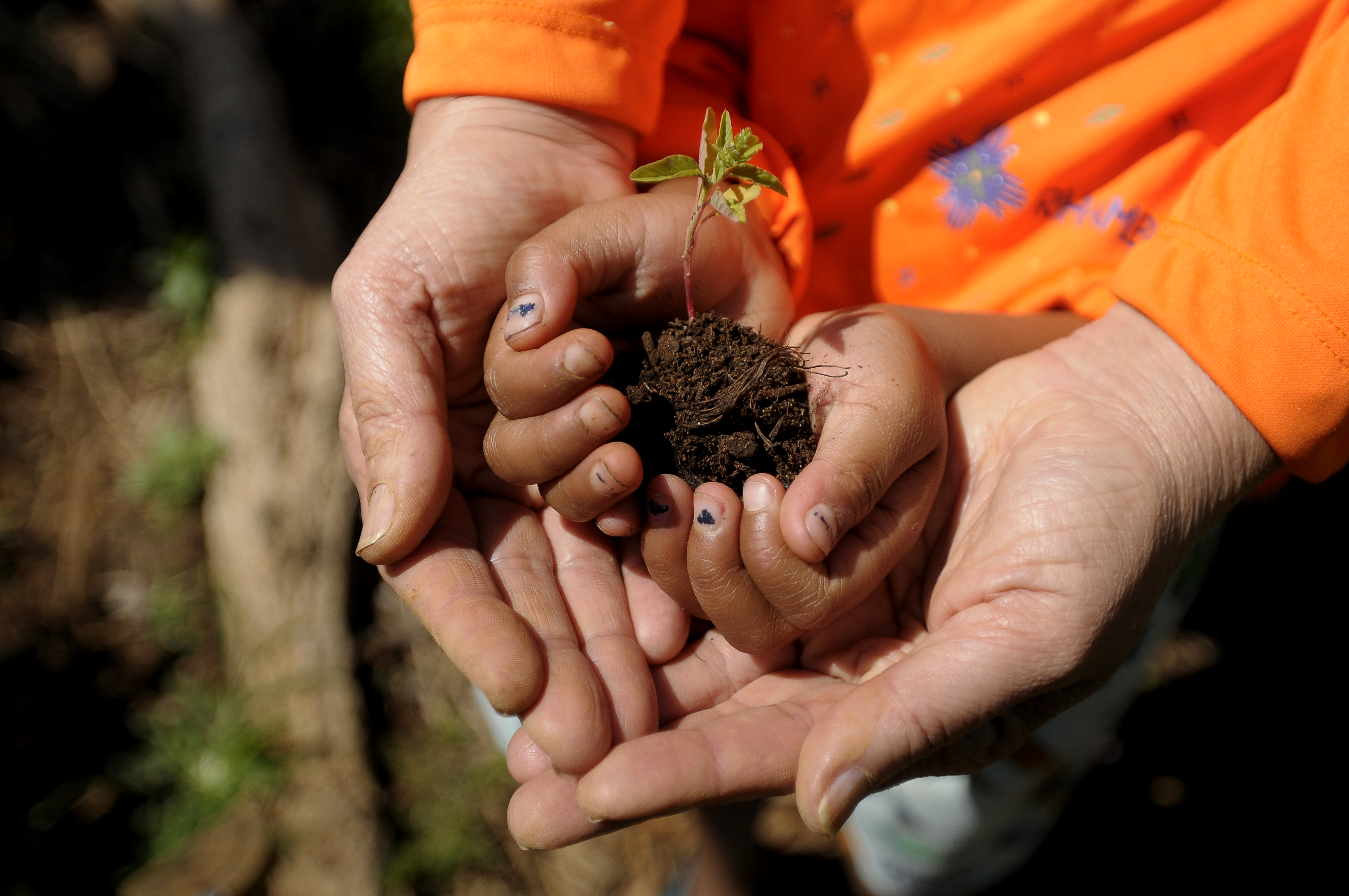 Projeto Horto Kids transforma o cuidado em brincadeira na UBS Areal/Arniqueira