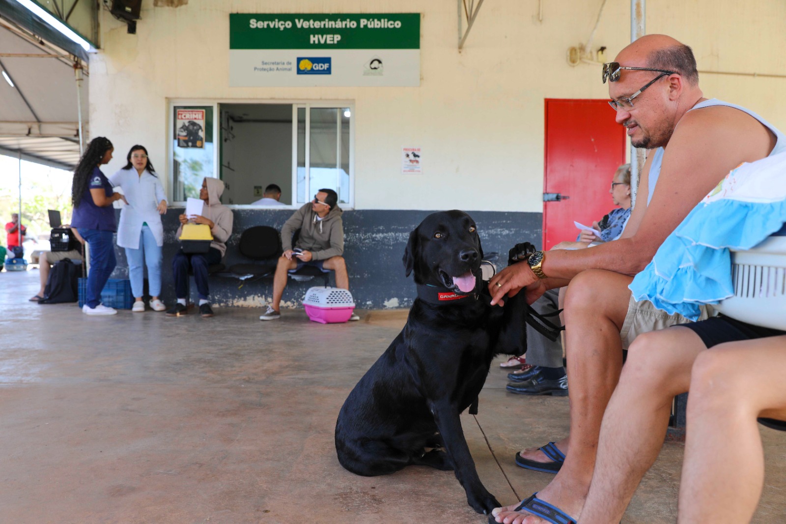 Hospital Veterinário Público do DF registra cerca de 10 mil atendimentos no primeiro semestre de 2025