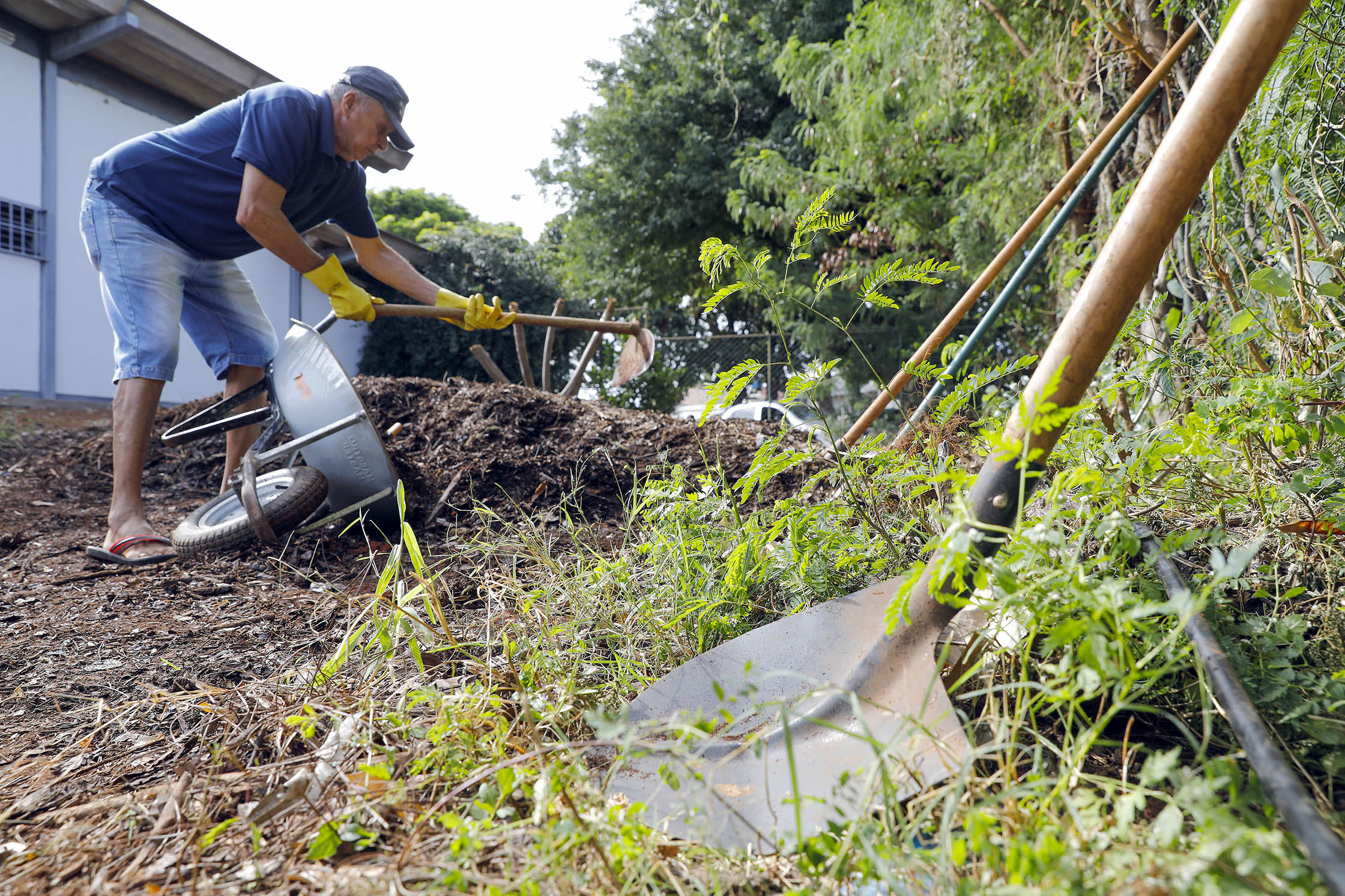 Hortos comunitários promovem bem-estar físico e mental nas unidades básicas de saúde do DF