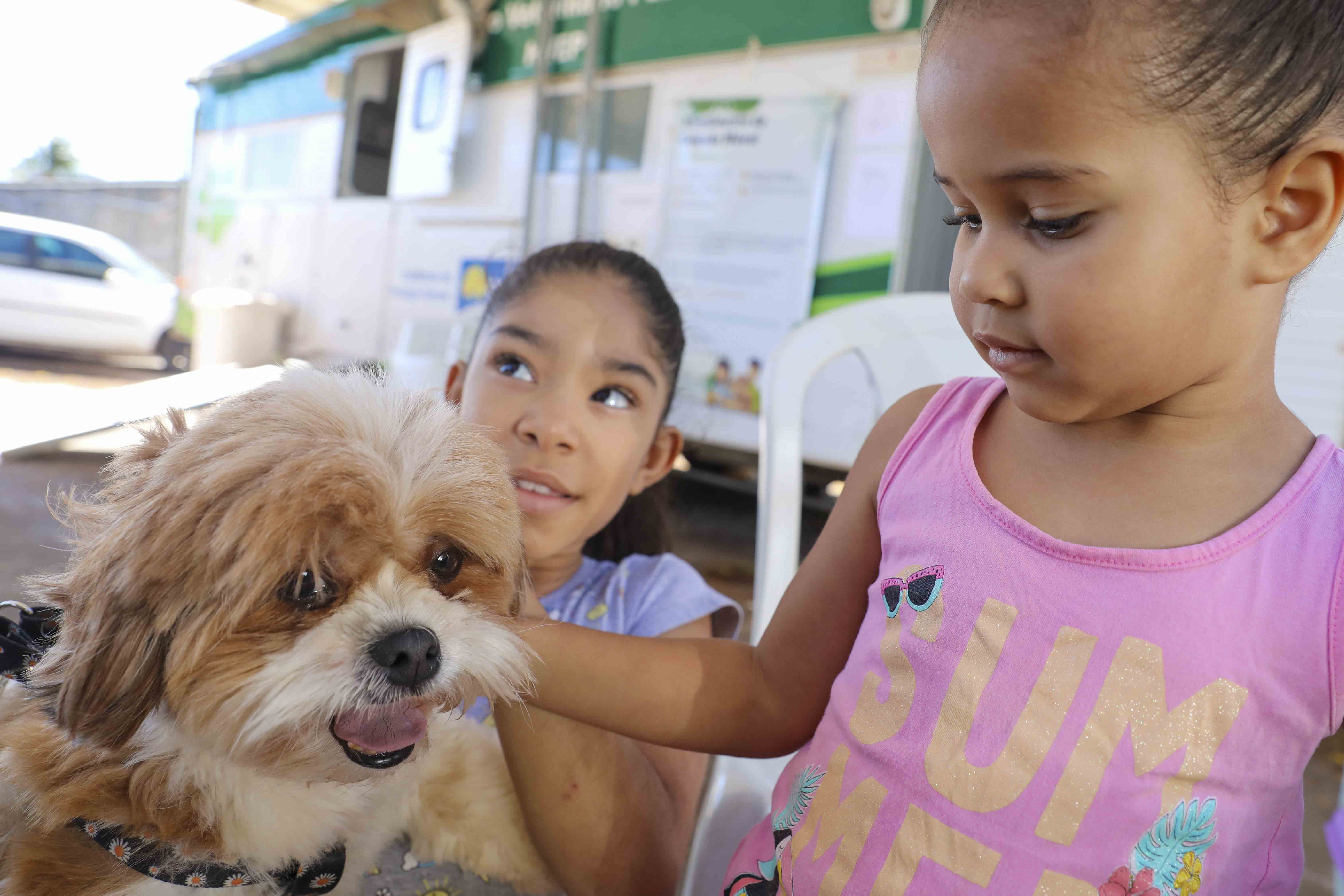 Hvep Móvel chega ao Itapoã com atendimentos veterinários gratuitos para cães e gatos