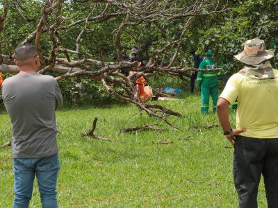 Ação atende 17 pessoas em situação de rua no DF durante o fim de semana