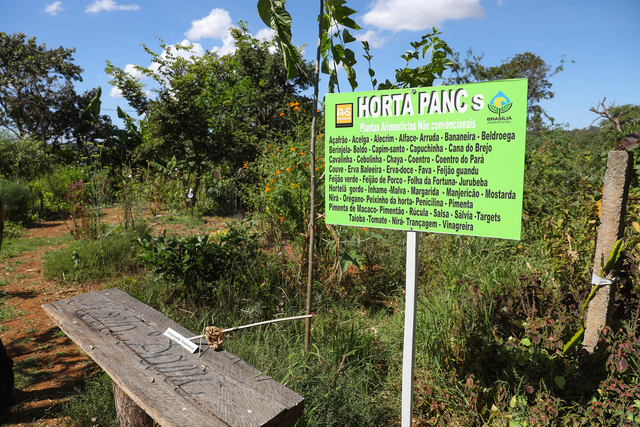 Agrofloresta no Riacho Fundo é modelo de preservação ambiental e práticas sustentáveis