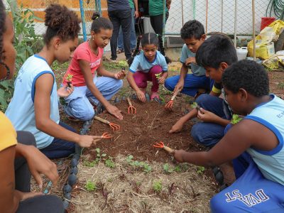 Colégio público em Brazlândia se destaca por adaptar aulas à realidade dos alunos