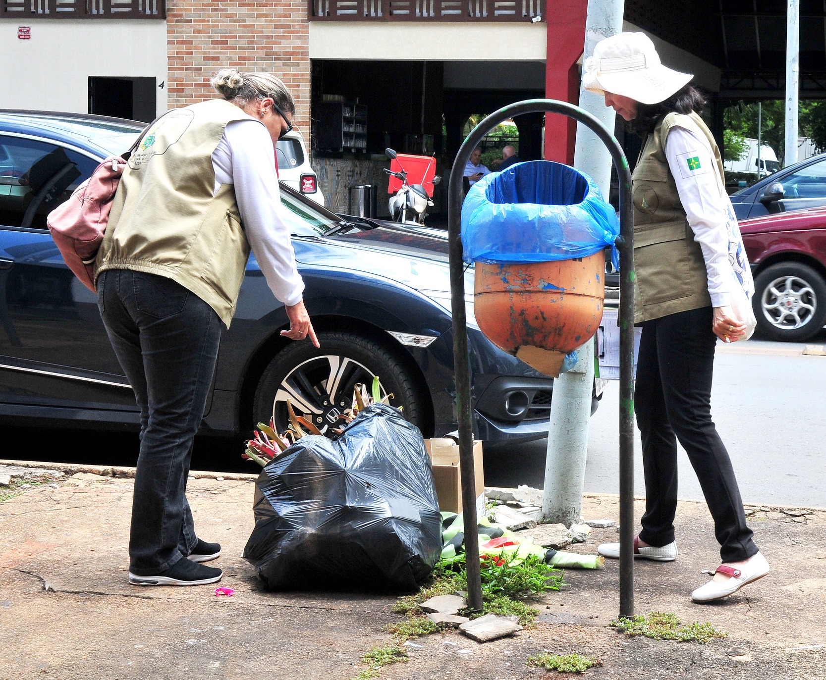 Animais peçonhentos: basta prevenir para evitar acidentes&nbsp;