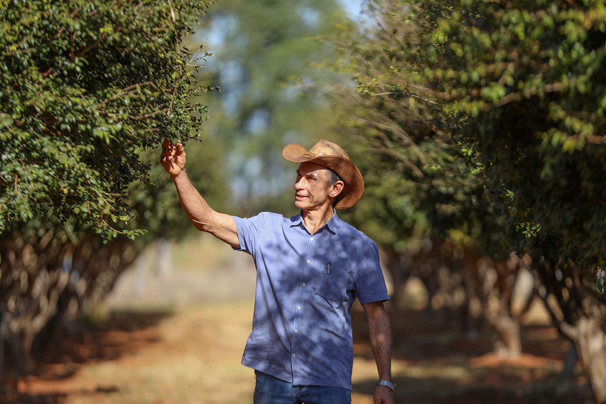 GDF regulariza 780 imóveis rurais e leva segurança jurídica a famílias no campo