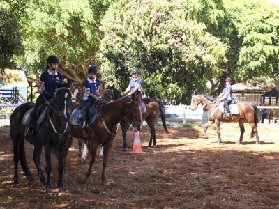 Escola de equitação social da PMDF revela talentos brasilienses no hipismo
