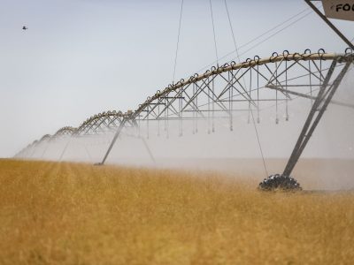 PAD-DF é referência no uso de técnicas de irrigação eficiente e sustentável