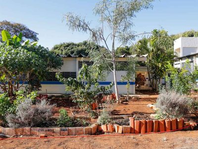 Horta do Creas de Ceilândia abre perspectivas para pessoas que buscam deixar as ruas