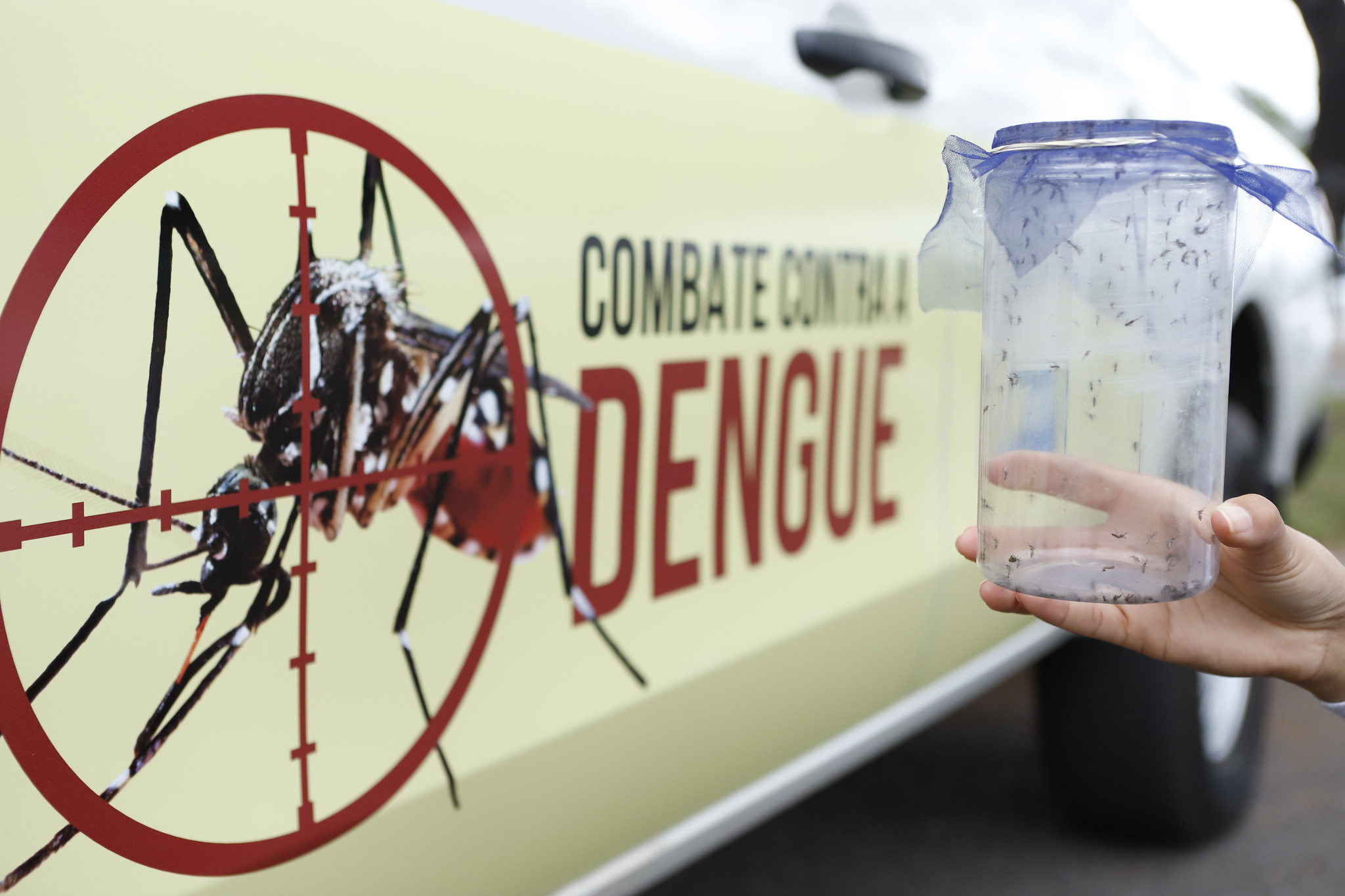GDF mobiliza esforços no Dia D Contra a Dengue