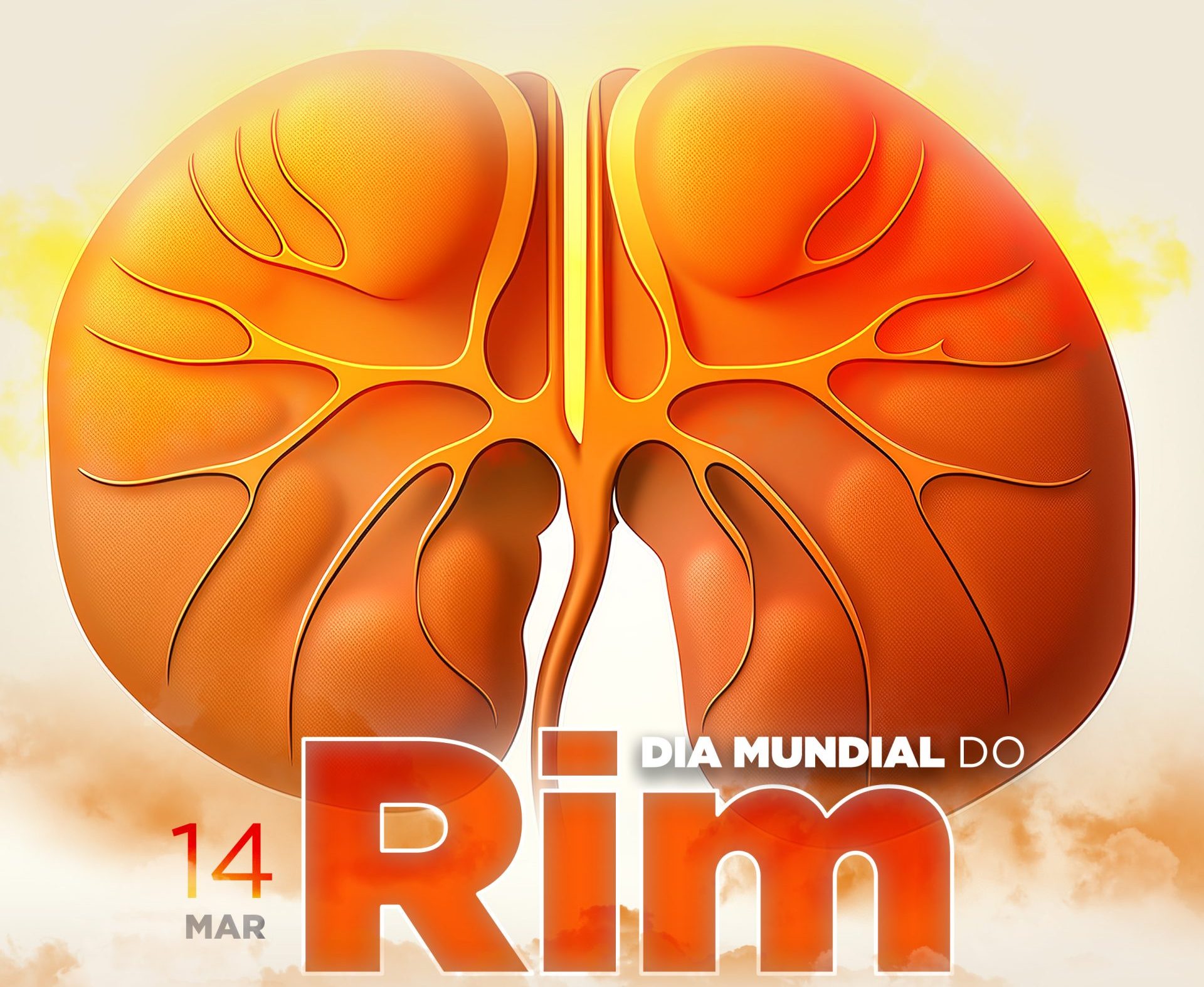 Crianças e adultos receberão orientações sobre saúde renal
