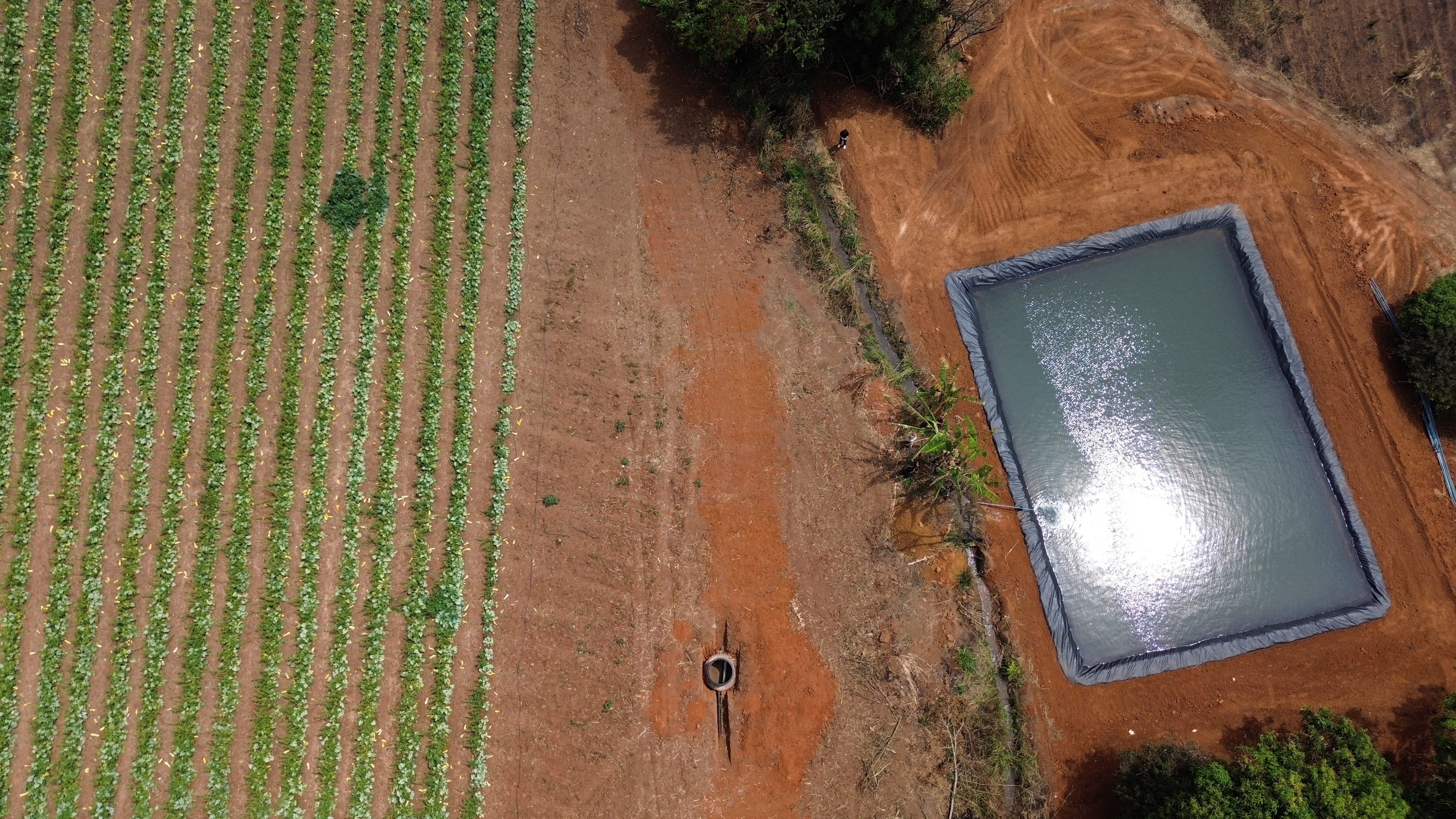 Modernização da irrigação no Rio Preto beneficia produtores rurais e fortalece agricultura familiar no DF