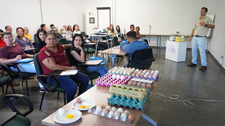 Trabalhadores rurais aprendem a produzir ovo com qualidade