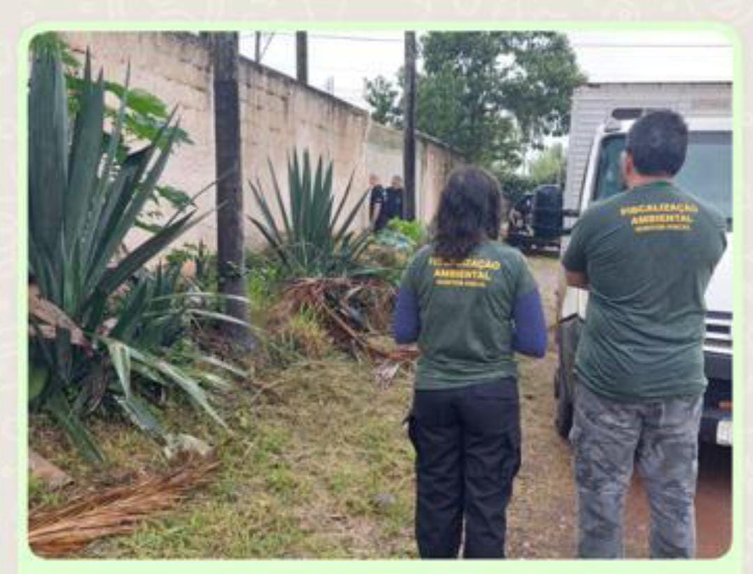Fiscalização ambiental discute os desafios de atuação no DF