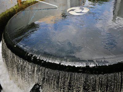 Última semana para negociar dívida com a Caesb