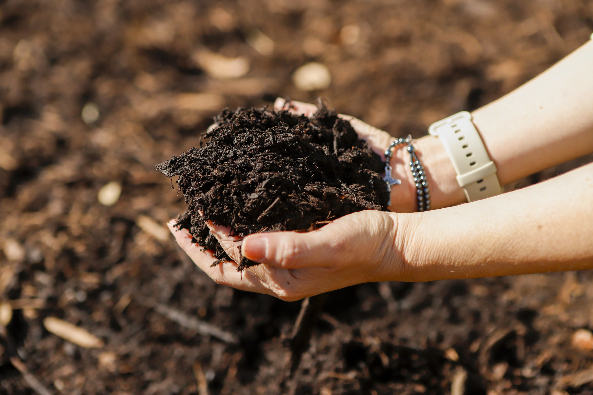 Rede de Hortos Agroflorestais Medicinais Biodinâmicos é regulamentada no DF