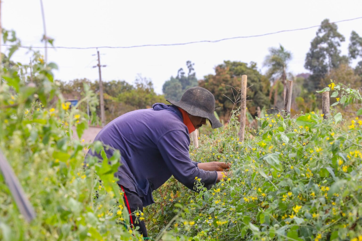 Grupo de trabalho vai normatizar regularização de glebas