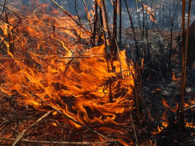 Queda da umidade relativa do ar requer atenção redobrada contra queimadas