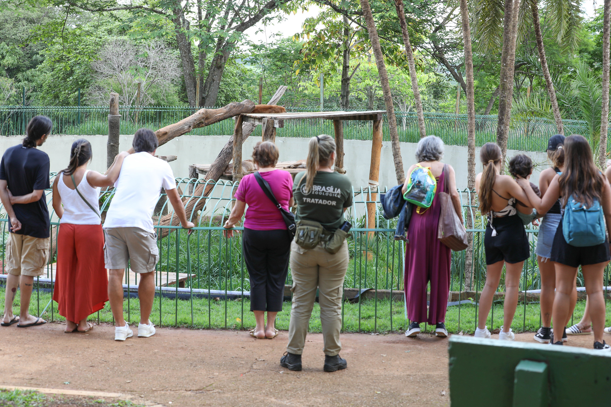 Lazer para Todos: Mais de 48 mil pessoas visitaram o Zoológico e o Jardim Botânico no feriadão de cinco dias