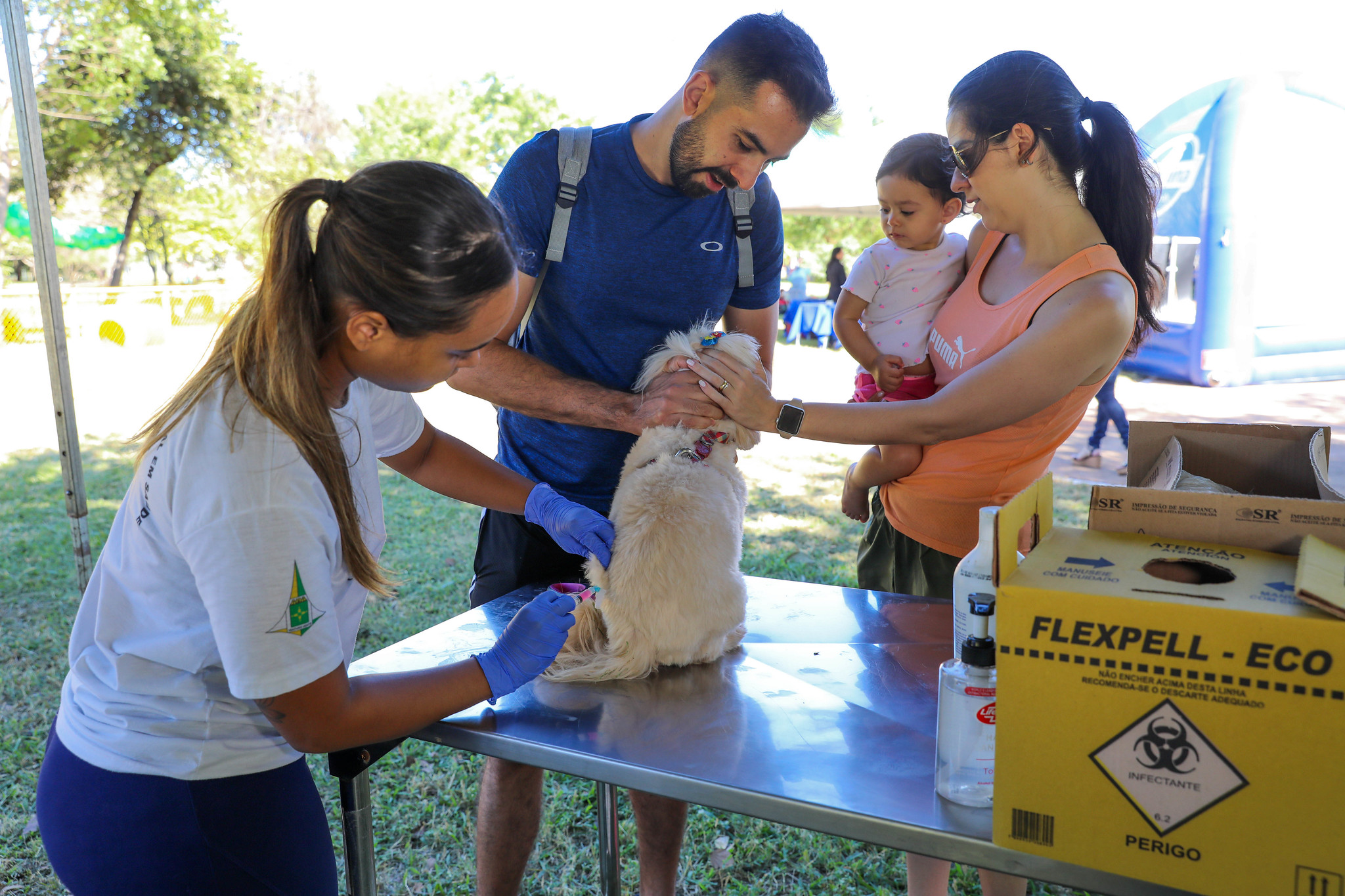 Vacinação animal itinerante: GDF reforça imunização contra a raiva em várias regiões neste sábado (13)